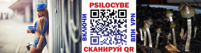 как найти   блэк спрут ТОР  Галлюциногенные грибы Magic Shrooms  Цимлянск 
